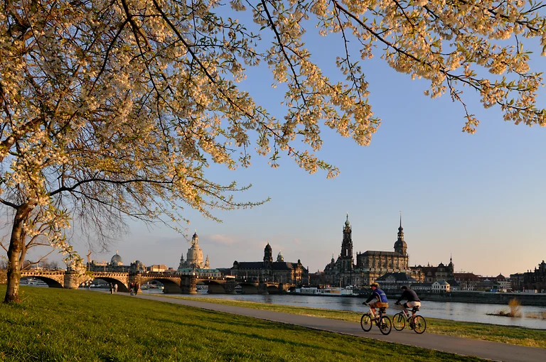 Zwei Radfahrer auf dem Elberadweg mit Blick auf die Dresdner Altstadt im Canalettoblick am Abend