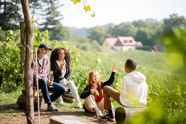 Wanderausflug in die Weinhänge von Dresden Elbland