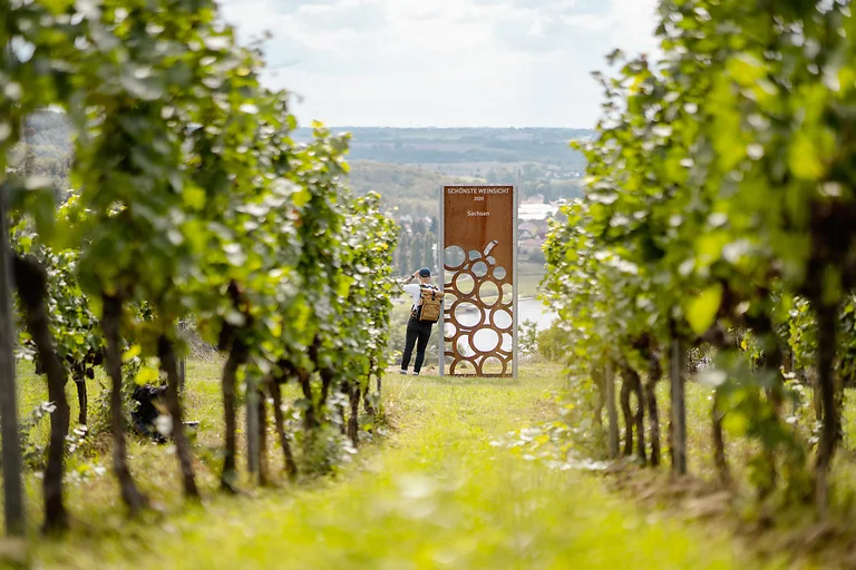 Weinbergsblick Diesbar-Seußlitz