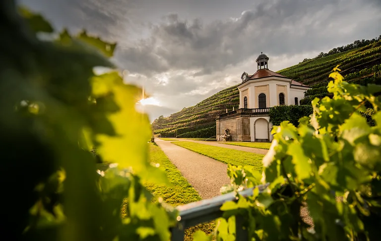 Das Belvedere von Schloss Wackerbarth liegt malerisch inmitten der Weinberge in Dresden Elbland.