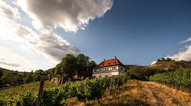 Historisches Weingut Hoflößnitz in den Weinbergen von Radebeul im Dresden Elbland.