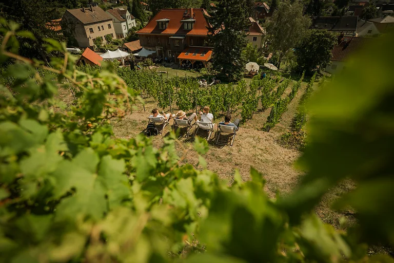 Weingut Mariaberg