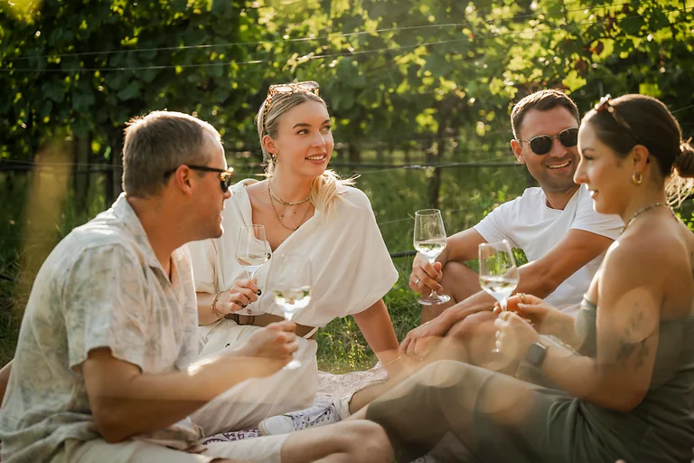 Vier Freunde sitzen inmitten der Weinberge in Dresden Elbland und genießen mit einem Glas Wein in der Hand die gemeinsame Zeit.