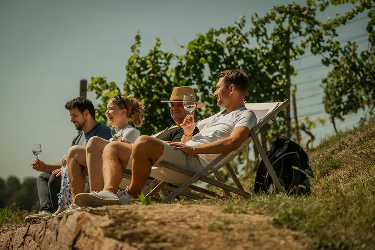 Gäste entspannen im Liegestuhl bei den Tagen des offenen Weingutes und genießen regionalen Wein im Dresden Elbland.
