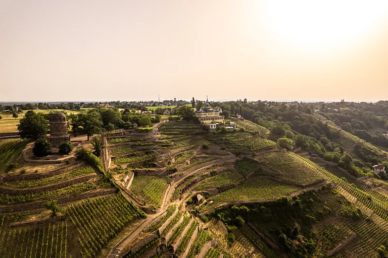 Spitzhaus Radebeul mit Blick auf terrassierte Weinberge und den Bismarckturm inmitten der Weinregion Dresden Elbland.