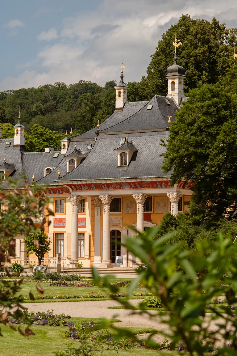 Schloss Pillnitz mit barocker Architektur an der Elbe, umgeben von Parkanlage und alter Kamelie.