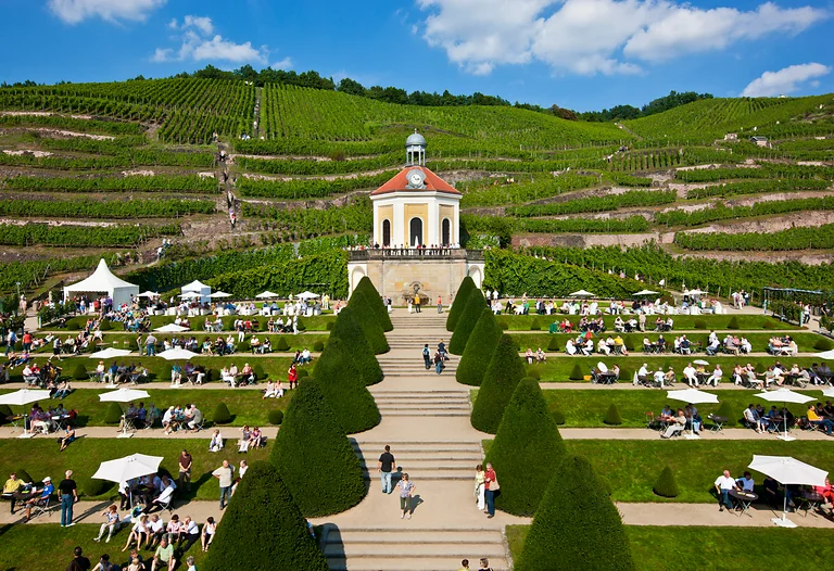 Weinfreunde genießen Wein und Sekt auf den Sommerterrassen von Schloss Wackerbarth.