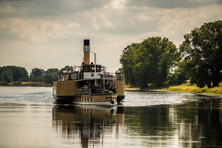 Ein Dampfschiff fährt im Sommer auf der Elbe