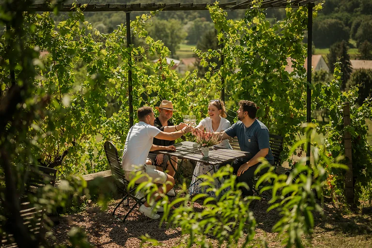 Vier Personen stoßen mit einem Glas Wein an einem Tisch mitten im Weinberg des Weinguts Mariaberg an.