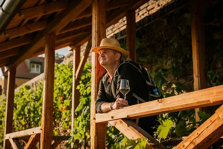 Ein Mann genießt mit einem Glas Wein in der Hand die Aussicht auf die Weinberge in Dresden Elbland.